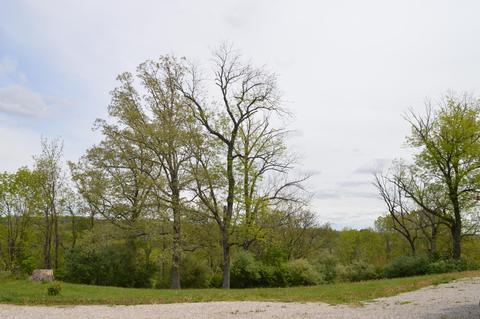 27426 Jackson Rd, Circleville, OH 43113 photo 88