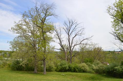 27426 Jackson Rd, Circleville, OH 43113 photo 86