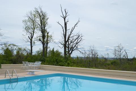 27426 Jackson Rd, Circleville, OH 43113 photo 98