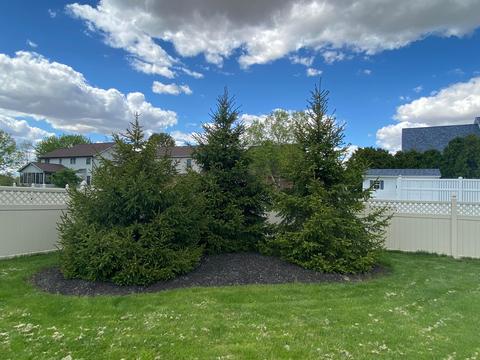 494 Buckley Dr, Circleville, OH 43113 photo 14