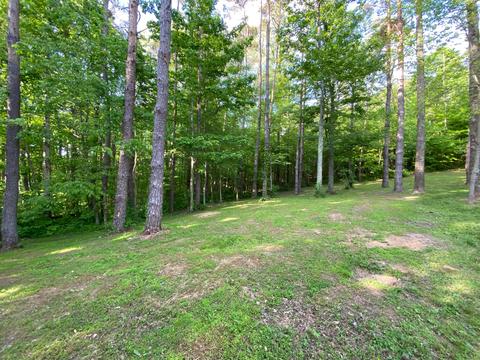 10561 Walnut Dowler Rd, Logan, OH 43138 photo 36