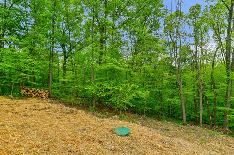 5221 Sheets Rd, Logan, OH 43138 photo 30