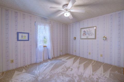 508 E Water St, Prospect, OH 43342 photo 31
