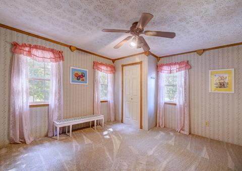 508 E Water St, Prospect, OH 43342 photo 26