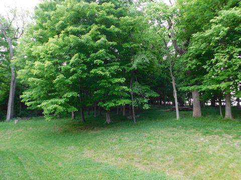 156 Eulah Dr, Hebron, OH 43025 photo 5