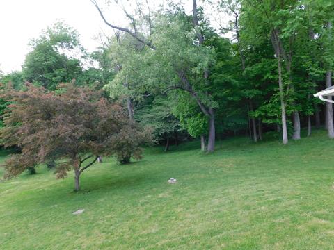 156 Eulah Dr, Hebron, OH 43025 photo 46