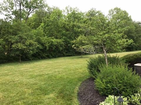 4907 Rays Cir, Dublin, OH 43016 photo 3