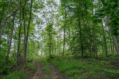 35051 Fairview Rd, Ray, OH 45672 photo 24