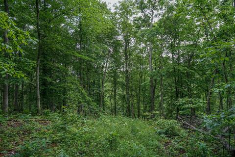 35051 Fairview Rd, Ray, OH 45672 photo 23