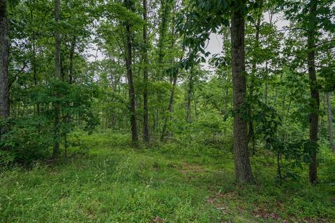 35051 Fairview Rd, Ray, OH 45672 photo 8