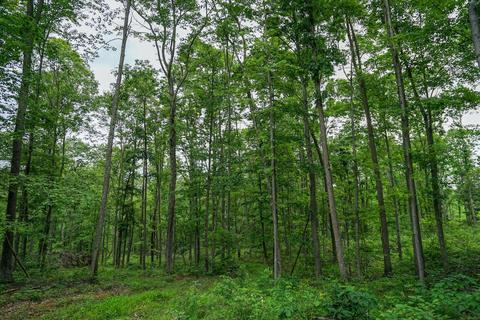 35051 Fairview Rd, Ray, OH 45672 photo 11