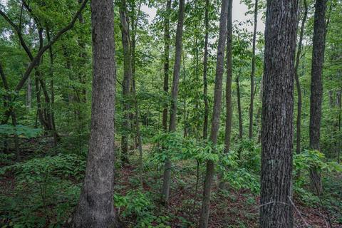 35051 Fairview Rd, Ray, OH 45672 photo 14