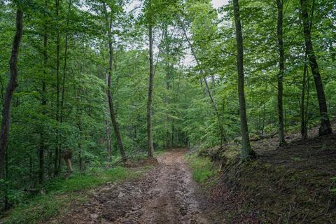 35051 Fairview Rd, Ray, OH 45672 photo 17