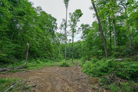 35051 Fairview Rd, Ray, OH 45672 photo 19