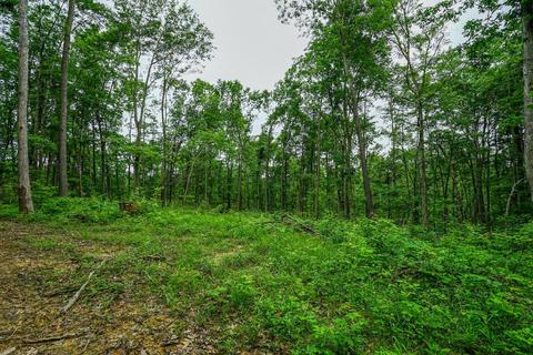 35051 Fairview Rd, Ray, OH 45672 photo 26