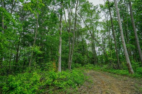 35051 Fairview Rd, Ray, OH 45672 photo 27