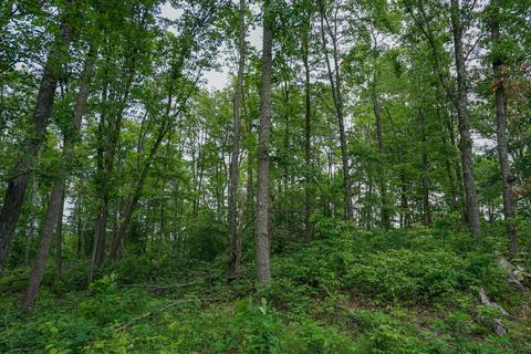 35051 Fairview Rd, Ray, OH 45672 photo 13