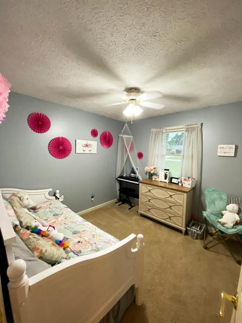 2806 Harmony Dr, Marion, OH 43302 photo 15