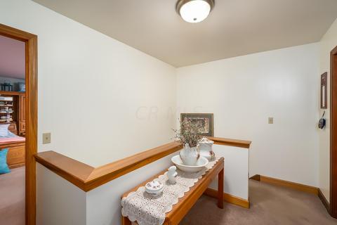 1163 Case Rd, Delaware, OH 43015 photo 25