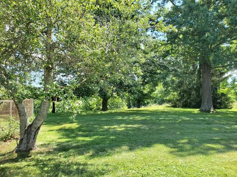 209 Anderson Dr, Jackson, OH 45640 photo 3