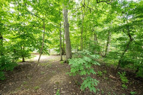 70 Beech Ct, Delaware, OH 43015 photo 11