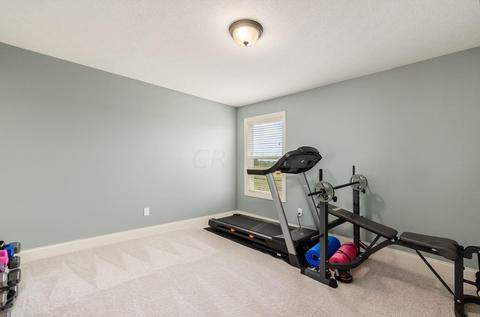 983 Briar Dr, Delaware, OH 43015 photo 43