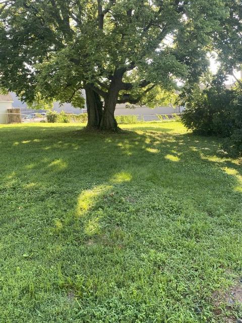 146 Fairview Blvd, Circleville, OH 43113 photo 8