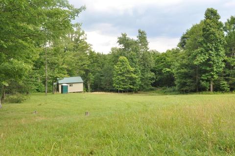 1562 Bert Harrold Rd, Jackson, OH 45640 photo 30