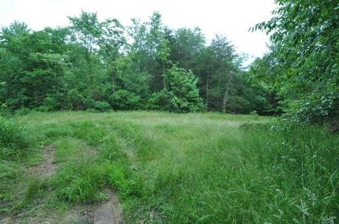 1562 Bert Harrold Rd, Jackson, OH 45640 photo 42