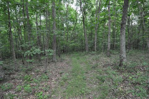 1562 Bert Harrold Rd, Jackson, OH 45640 photo 21