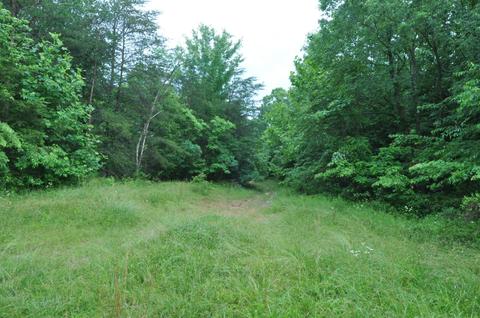 1562 Bert Harrold Rd, Jackson, OH 45640 photo 41
