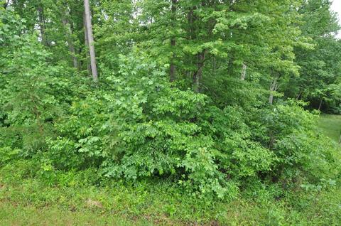 1562 Bert Harrold Rd, Jackson, OH 45640 photo 37