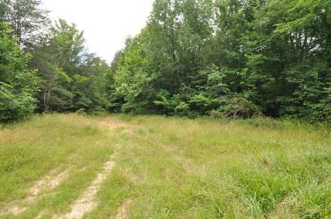 1562 Bert Harrold Rd, Jackson, OH 45640 photo 24