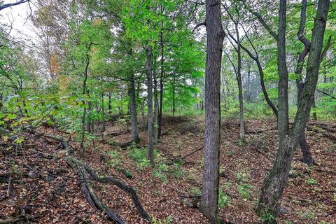 1007 Poth Rd, Mansfield, OH 44906 photo 16