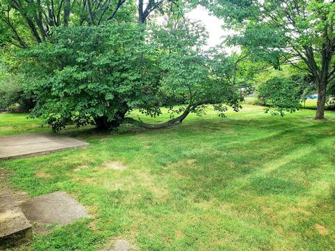 976 Chateau Dr, Marion, OH 43302 photo 17