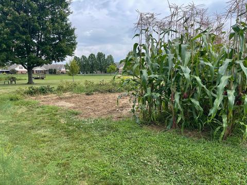 1725 Willow Rd, Springfield, OH 45502 photo 74
