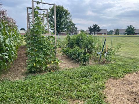 1725 Willow Rd, Springfield, OH 45502 photo 73