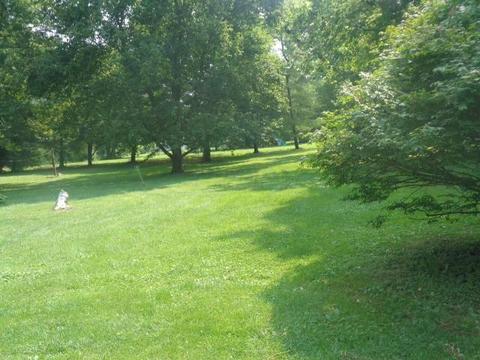 202 Mound St, Fulton, OH 43321 photo 7