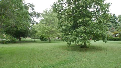 11650 Elder Ln, Lithopolis, OH 43136 photo 3