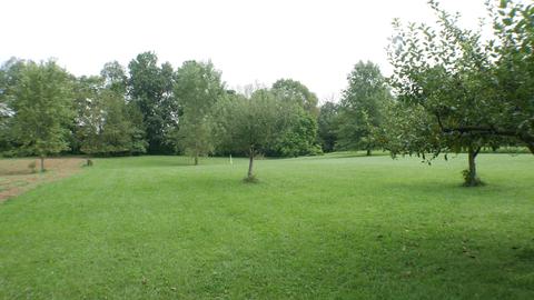 11650 Elder Ln, Lithopolis, OH 43136 photo 8