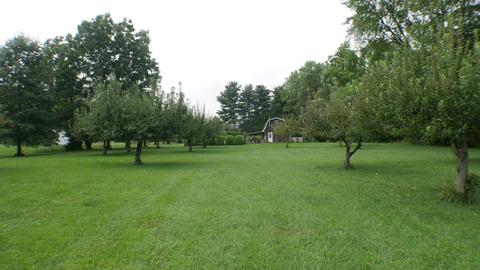 11650 Elder Ln, Lithopolis, OH 43136 photo 11