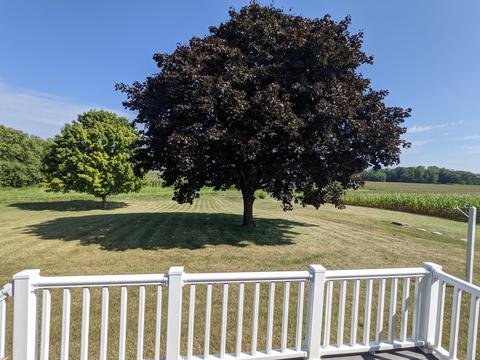 198 Donithen Rd, Marion, OH 43302 photo 13