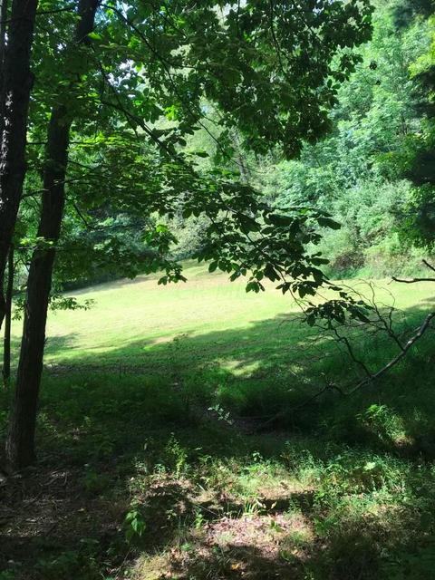 1650 Blue Jay Rd, Heath, OH 43056 photo 38