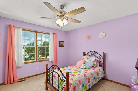 908 Armstrong Dr, Willard, OH 44890 photo 22