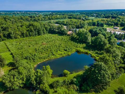 7142 Blaney Rd, Delaware, OH 43015 photo 10