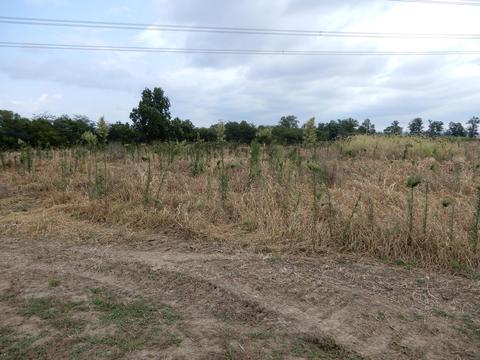 3958 Us Rt 22, Circleville, OH 43113 photo 2