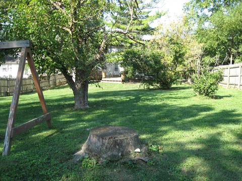 8118 Simfield Rd, Dublin, OH 43016 photo 33