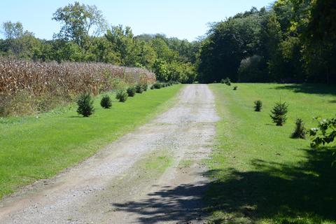 12020 Scioto Darby Rd, Orient, OH 43146 photo 7