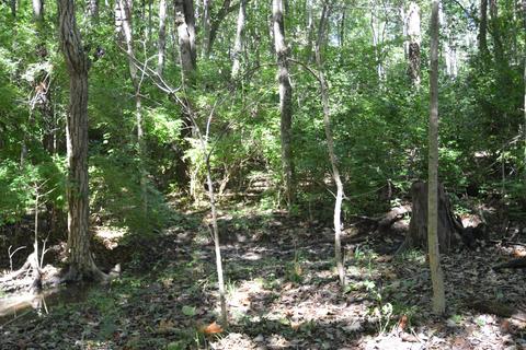 12020 Scioto Darby Rd, Orient, OH 43146 photo 12
