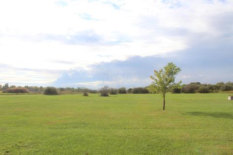 26195 Shoemaker Rd, Circleville, OH 43113 photo 45